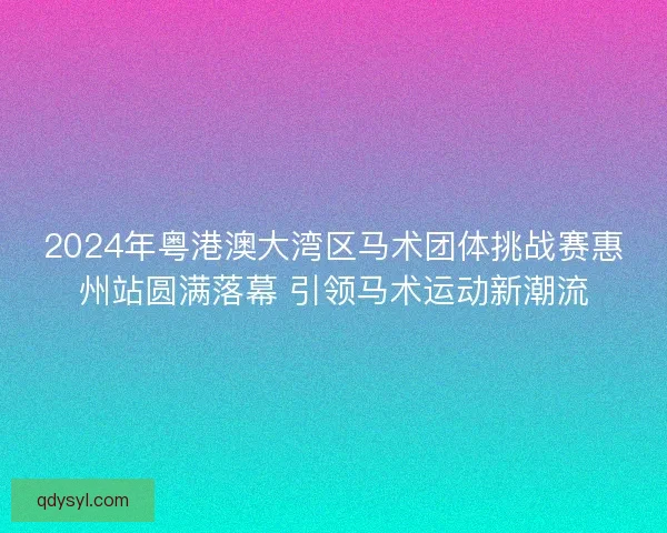 2024年粤港澳大湾区马术团体挑战赛惠州站圆满落幕 引领马术运动新潮流