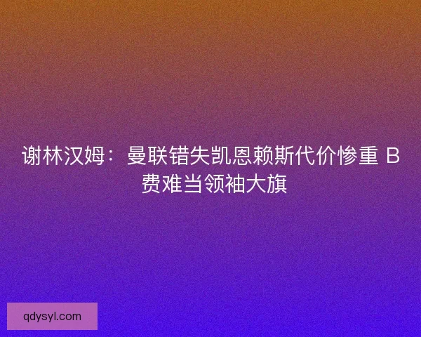 谢林汉姆：曼联错失凯恩赖斯代价惨重 B 费难当领袖大旗