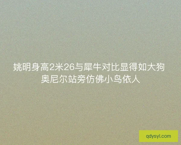 姚明身高2米26与犀牛对比显得如大狗 奥尼尔站旁仿佛小鸟依人